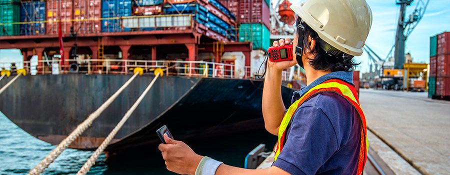 Técnico en Comercio Exterior
