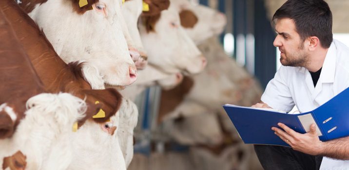 Técnico en Veterinaria y Producción Pecuaria